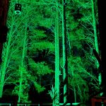 85306C4B-8F1C-4AAC-9AA2-744BCF18FC14